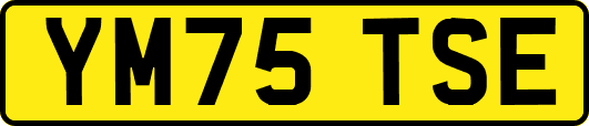 YM75TSE