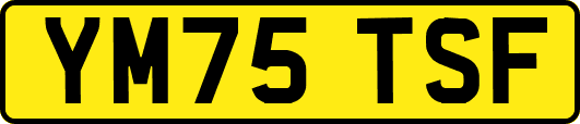 YM75TSF