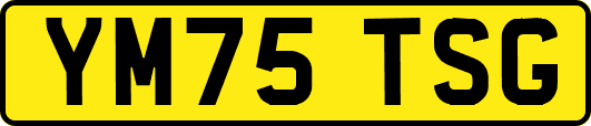 YM75TSG
