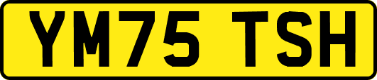 YM75TSH