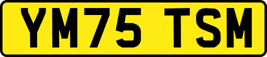 YM75TSM