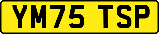 YM75TSP