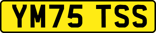 YM75TSS