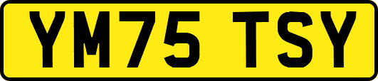 YM75TSY
