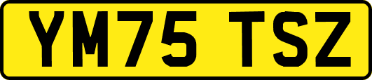 YM75TSZ
