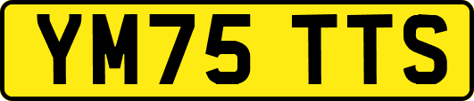 YM75TTS