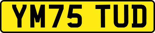 YM75TUD