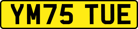 YM75TUE