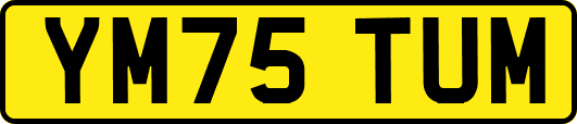YM75TUM