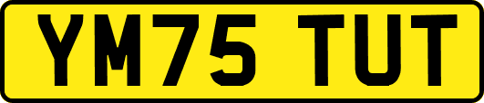 YM75TUT