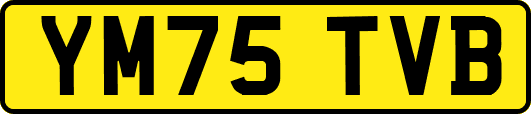 YM75TVB