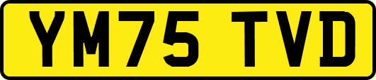 YM75TVD