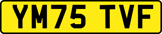 YM75TVF