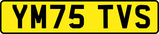 YM75TVS