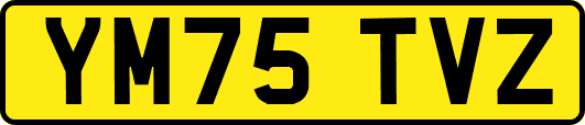 YM75TVZ