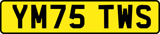 YM75TWS