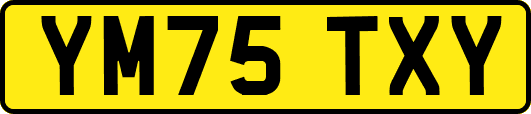 YM75TXY