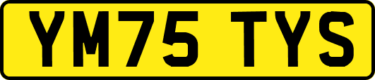 YM75TYS