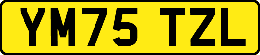 YM75TZL