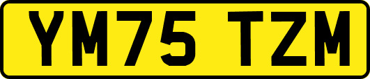 YM75TZM