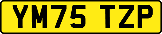 YM75TZP