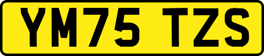 YM75TZS