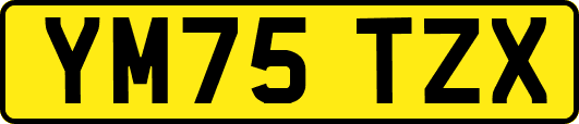 YM75TZX
