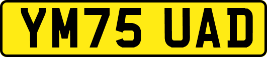 YM75UAD