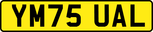 YM75UAL