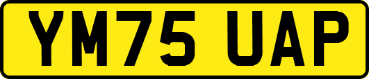 YM75UAP