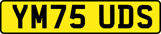 YM75UDS