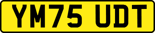 YM75UDT