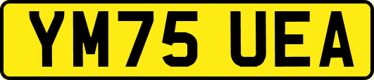 YM75UEA