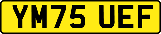 YM75UEF
