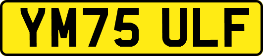 YM75ULF
