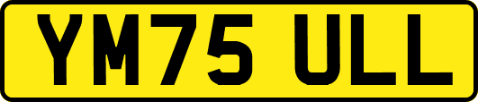 YM75ULL