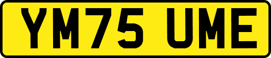 YM75UME