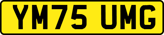 YM75UMG