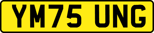 YM75UNG