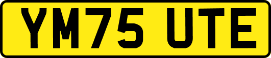 YM75UTE