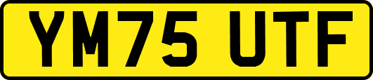 YM75UTF