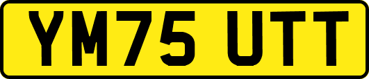 YM75UTT