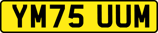 YM75UUM