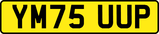 YM75UUP