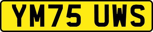 YM75UWS