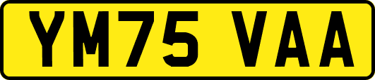 YM75VAA