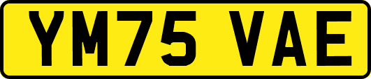 YM75VAE