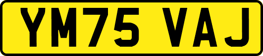 YM75VAJ
