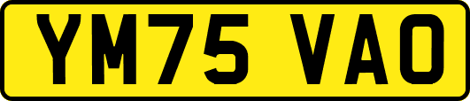 YM75VAO