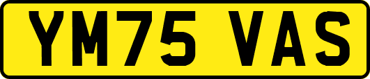 YM75VAS